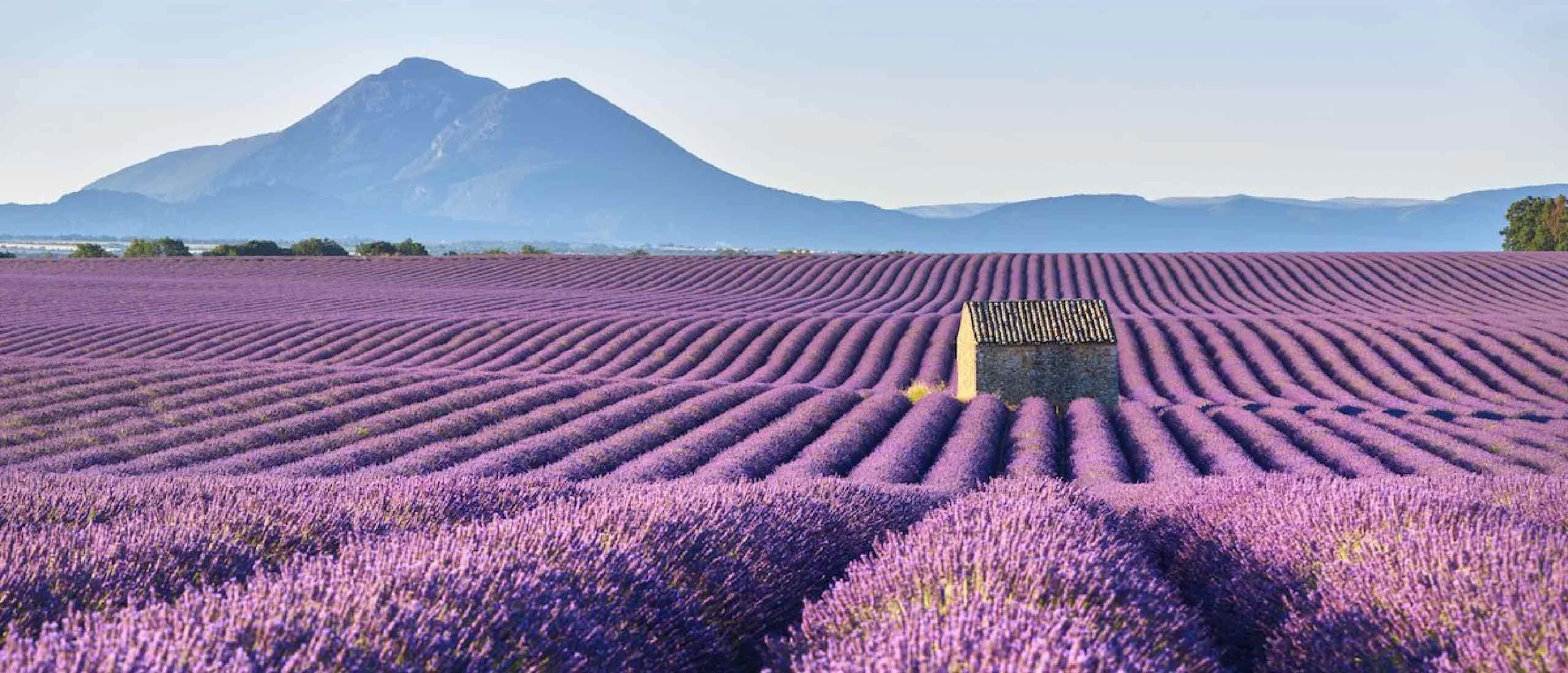 L'Essence de la Provence Naturelle